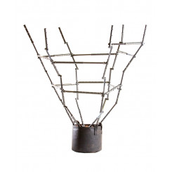 EZPREP PLANT TRAINER